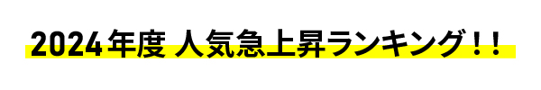 2024年度ランキング