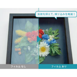 特殊機能フィルム 低反射