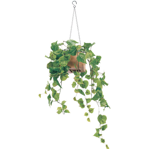 ハンキングポット