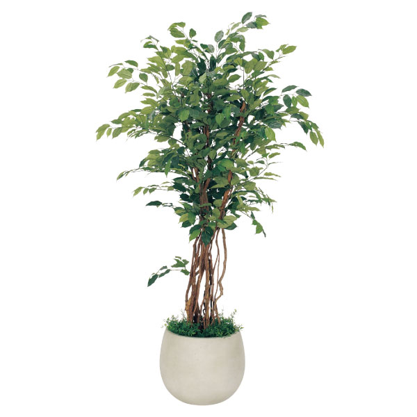 樹木プランター