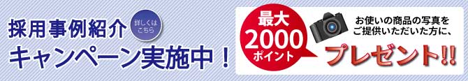 最大2000円分のポイントがもらえる採用事例キャンペーン実施中