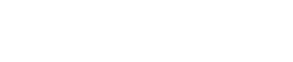 チャオの使い方