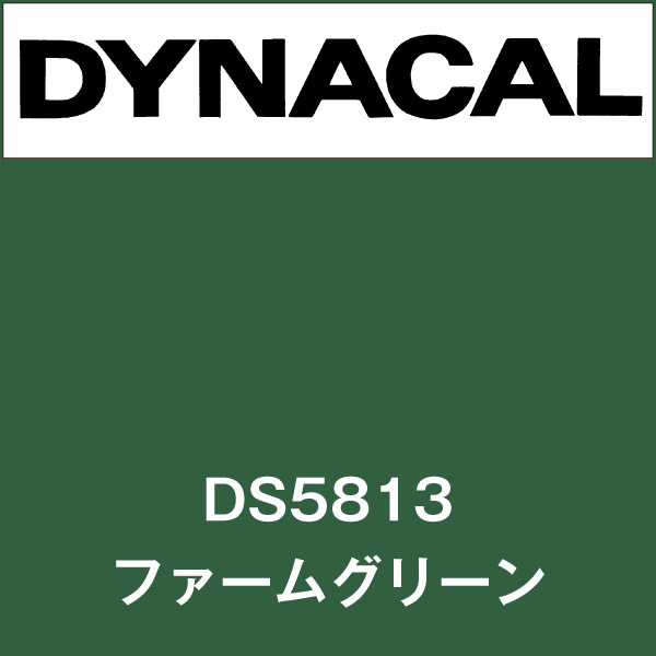 ダイナサイン DS5813 ファームグリーン(DS5813)