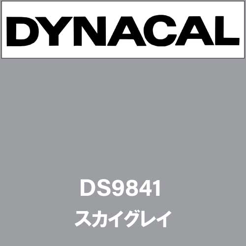 ダイナサイン DS9841 スカイグレイ(DS9841)