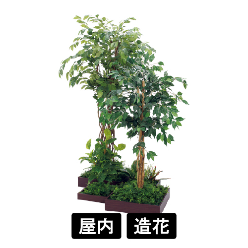 連接樹木 GM5726 H1800 4連 フィカスベンジャミン(GM5726)