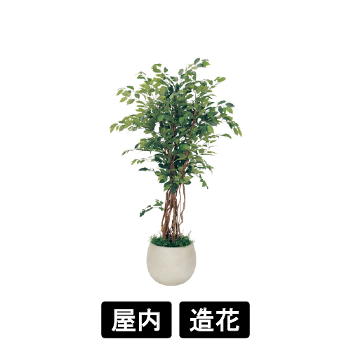 樹木プランター GR5006 H1900 フィカスベンジャミン(GR5006)