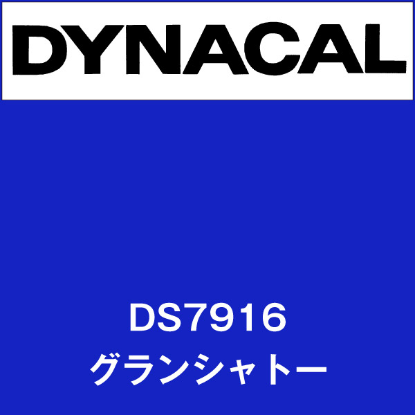 ダイナサイン DS7916 グランシャト－(DS7916)