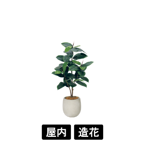 樹木プランター GR5101 H1250 ゴムの木(GR5101)