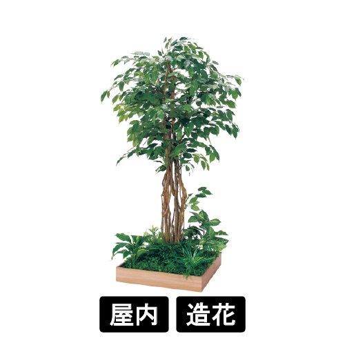 テーブル樹木 GR5131 H1800 600角 フィカスベンジャミン(GR5131)