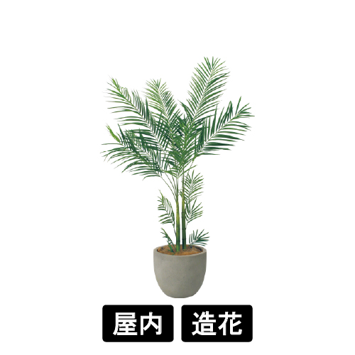 樹木プランター GR5094 H2050 アレカヤシ(GR5094)