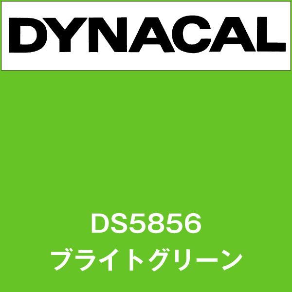 ダイナサイン DS5856 ブライトグリーン(DS5856)