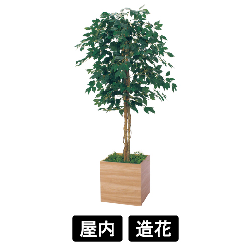 樹木プランター GR5110 H1900 フィカスベンジャミン(GR5110)