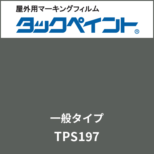 タックペイント 一般タイプ TPS197 レイニーグレー(TPS197)