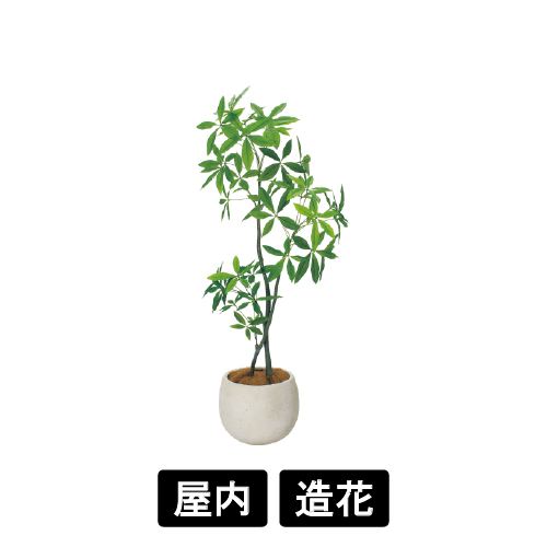 樹木プランター GR5097 H1800 パキラ(GR5097)