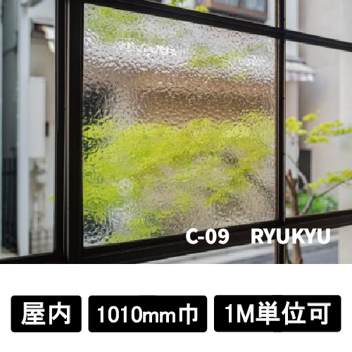 フォグラス C-09 RYUKYU(C-09)