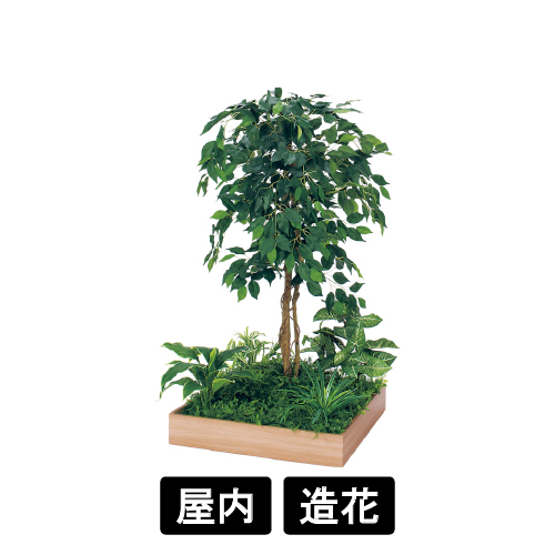 テーブル樹木 GR5129 H1200 600角 フィカスベンジャミン(GR5129)