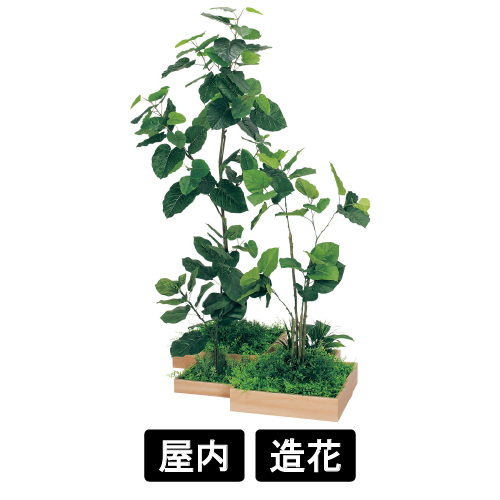 連接樹木 GM5700 H1800 4連 ウンベラータ(GM5700)