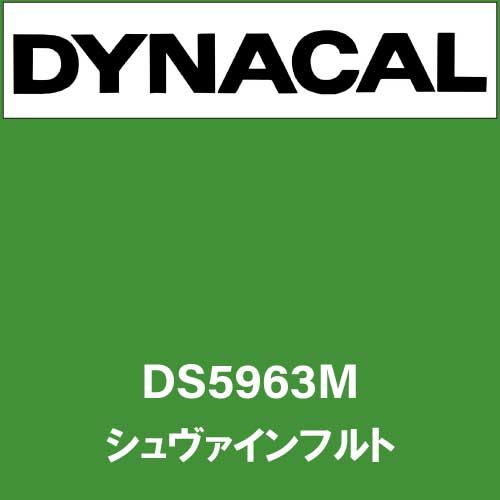 ダイナサイン DS5963M シュヴァインフルト(DS5963M)