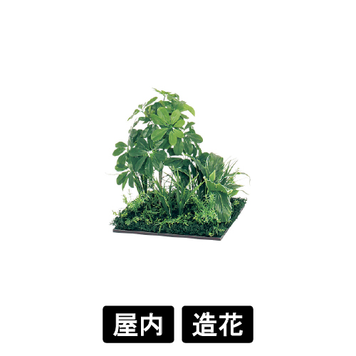 連接樹木 GR5061 H550 450角 シェフレラ(GR5061)