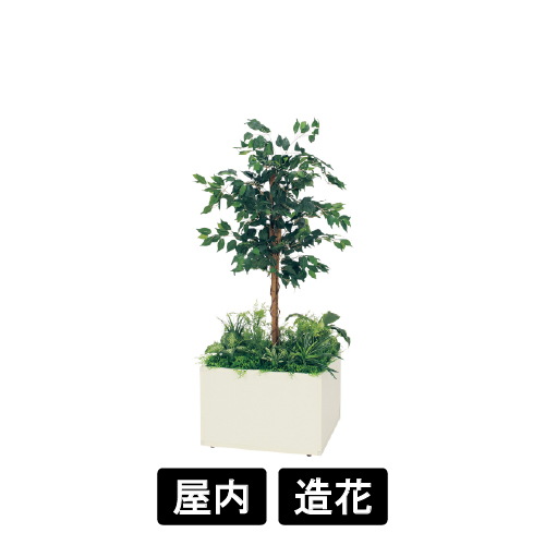寄せ植えプランター GR5028 H1600 フィカスベンジャミン(GR5028)