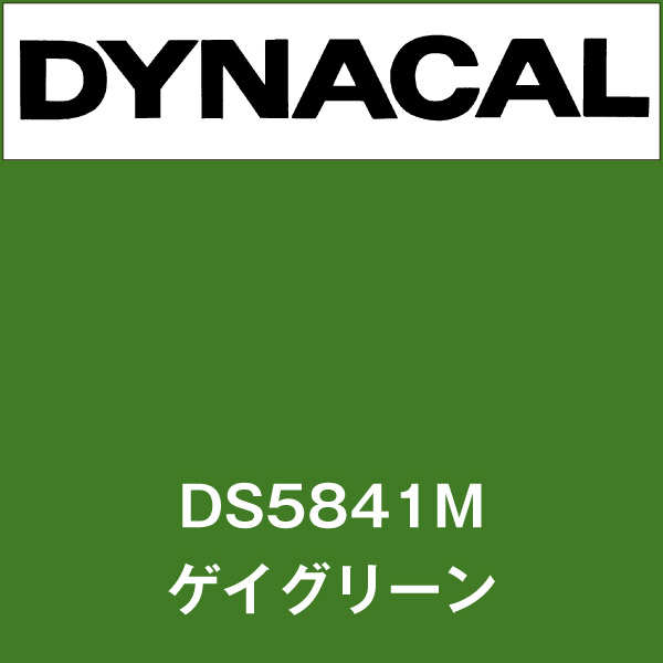 ダイナサイン DS5841M ゲイグリーン(DS5841M)