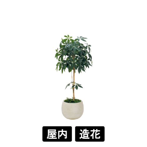 樹木プランター GR5071 H1600 パキラ(GR5071)