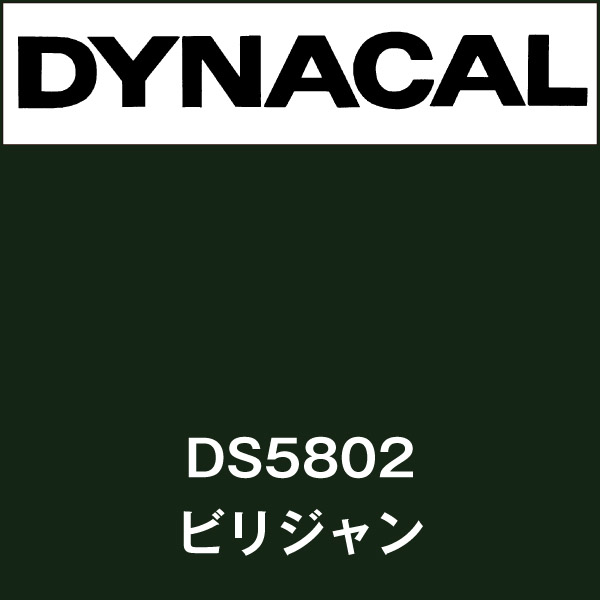 ダイナサイン DS5802 ビリジャン(DS5802)