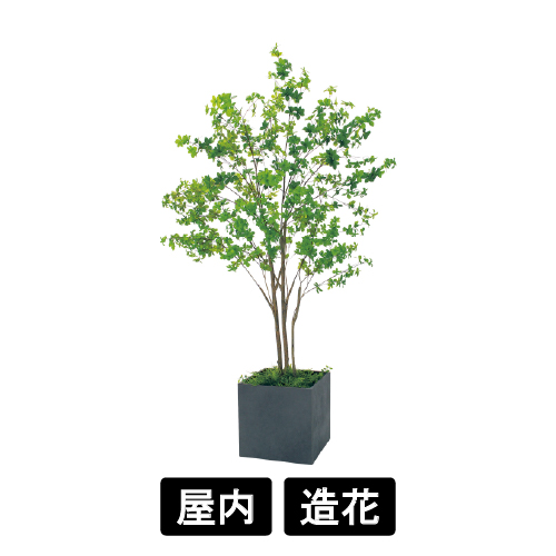 樹木プランター GR5095 H2100 ドウダン(GR5095)