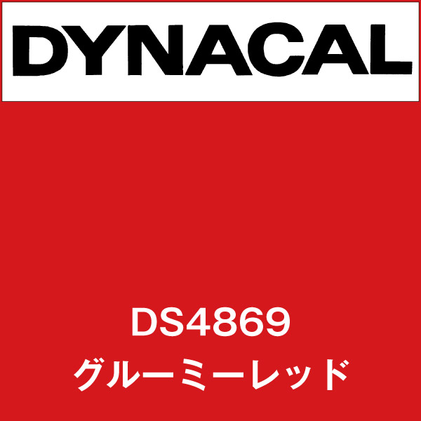 ダイナサイン DS4869 グルーミーレッド(DS4869)
