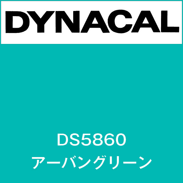 ダイナサイン DS5860 アーバングリーン(DS5860)