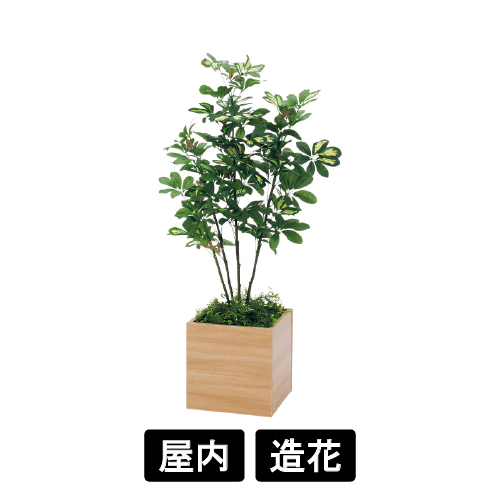 樹木プランター GR5080 H1100 シェフレラ(GR5080)