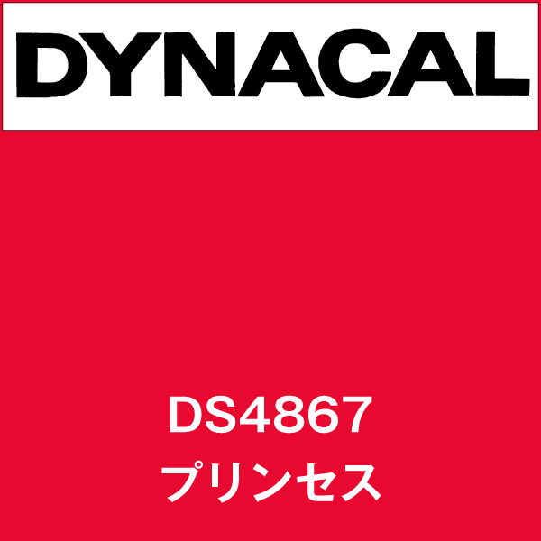 ダイナサイン DS4867 プリンセス(DS4867)