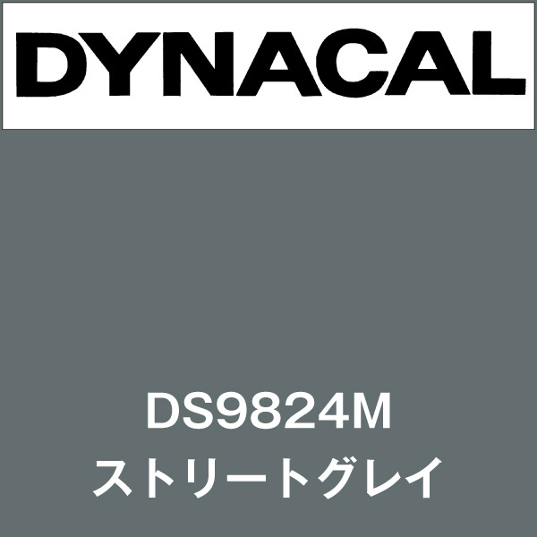 ダイナサイン DS9824M ストリートグレイ(DS9824M)