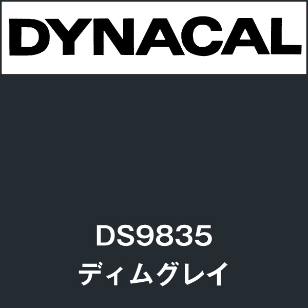 ダイナサイン DS9835 ディムグレイ(DS9835)
