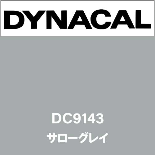 ダイナカル DC9143 サローグレイ(DC9143)