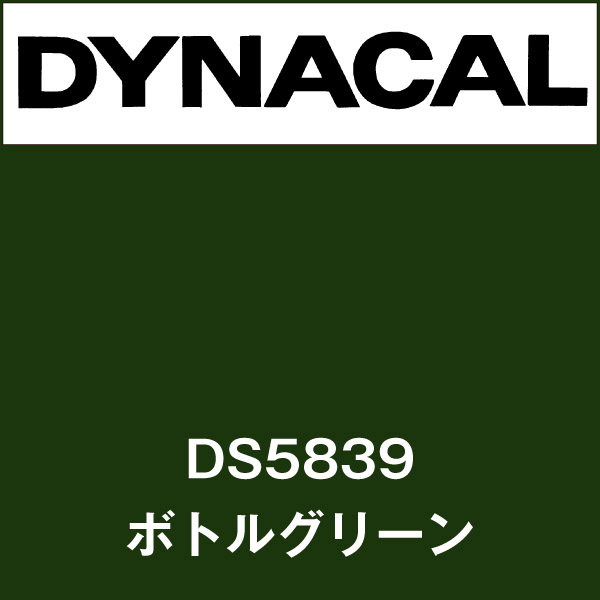 ダイナサイン DS5839 ボトルグリーン(DS5839)