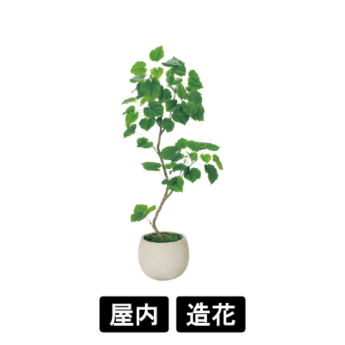 樹木プランター GR5096 H1800 ウンベラータ(GR5096)