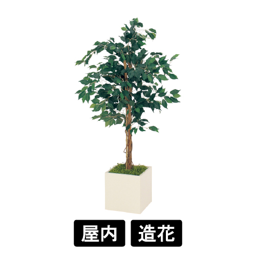 樹木プランター GR5013 H1400 フィカスベンジャミン(GR5013)