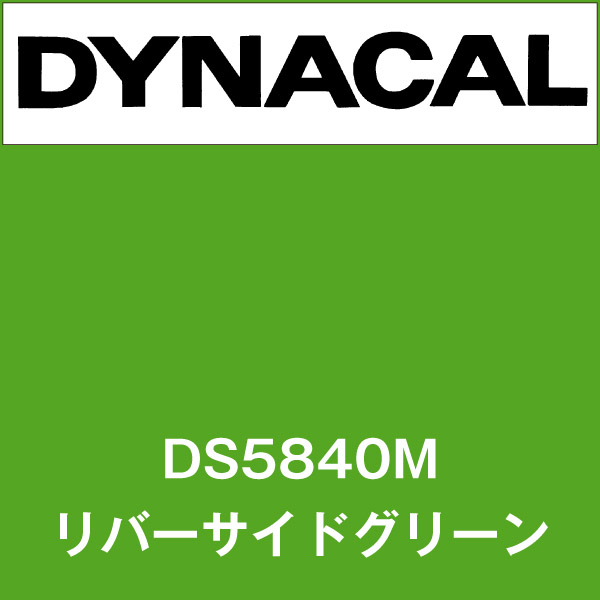 ダイナサイン DS5840M リバーサイドグリーン(DS5840M)