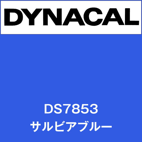 ダイナサイン DS7853 サルビアブルー(DS7853)