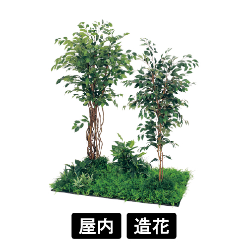 連接樹木 GM5711 H1800 450角6連 フィカスベンジャミン(GM5711)