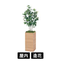 樹木プランター GR5022 H1500 シェフレラ