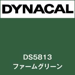 ダイナサイン DS5813 ファームグリーン