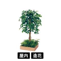 テーブル樹木 GR5121 H1200 450角 フィカスベンジャミン