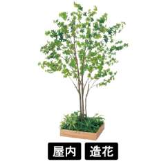 テーブル樹木 GR5128 H1900 530角 ドウダン