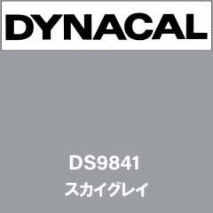 ダイナサイン　DS9841　スカイグレイ