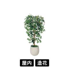 樹木プランター GR5102 H1500 フィカスベンジャミン