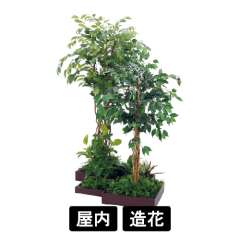連接樹木 GM5726 H1800 4連 フィカスベンジャミン