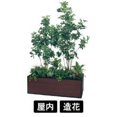 寄せ植えプランター GR5039 H2050 シェフレラ