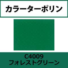 カラーターポリン APC400-F フォレストグリーン APC4009